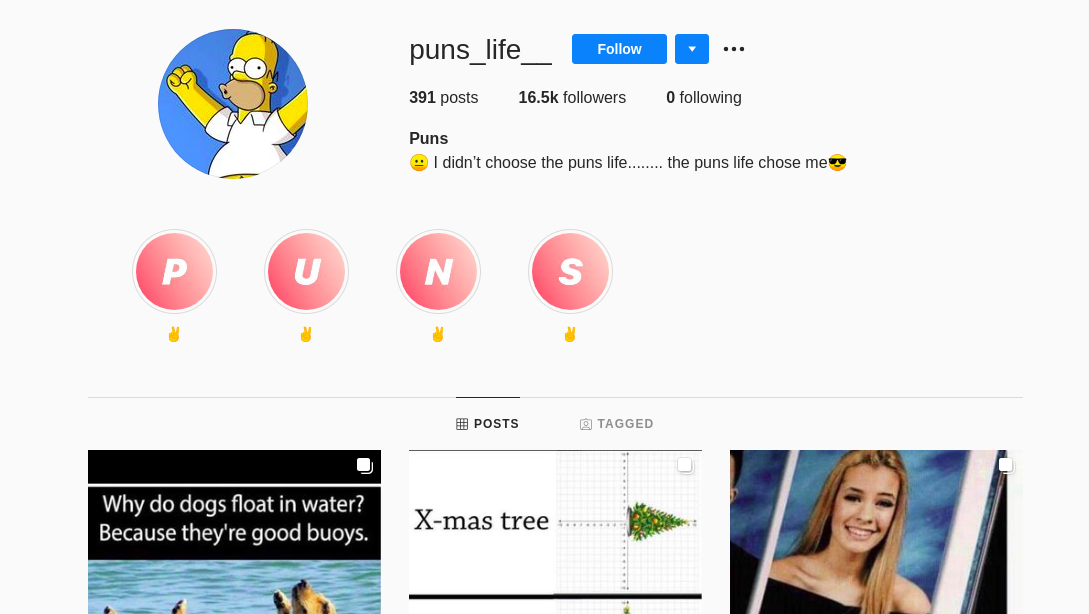Instagram bio ideas for puns by recurpost as best social media scheduler