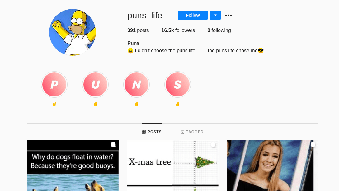 Instagram bio ideas for puns by recurpost as best social media scheduler