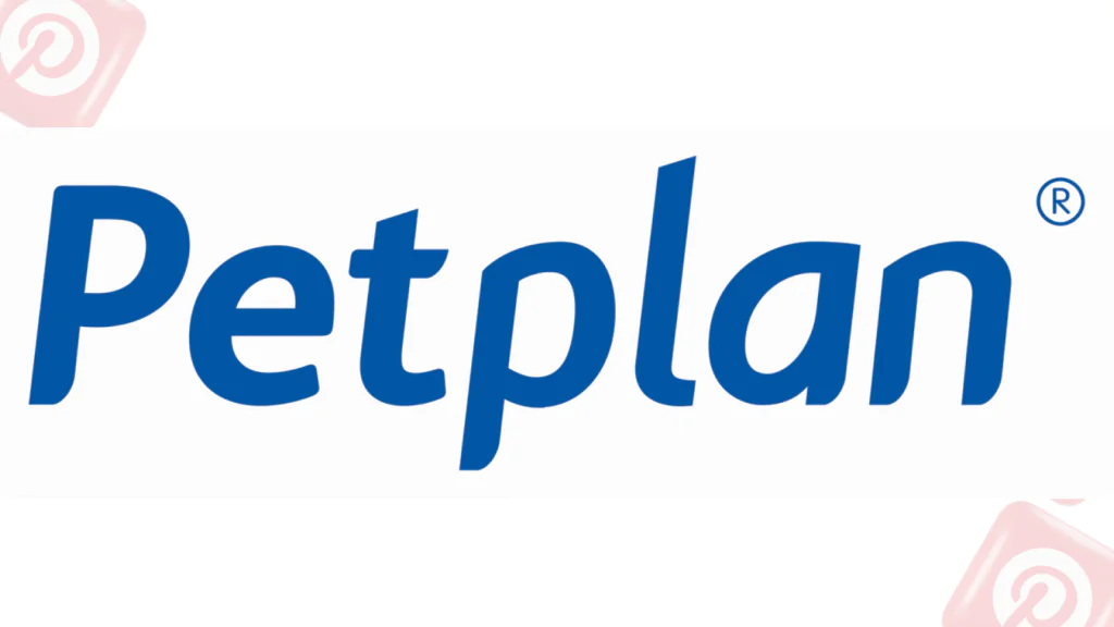 Real-World Brands That Nailed Pinterest Marketing: Petplan: Content Marketing That Converts