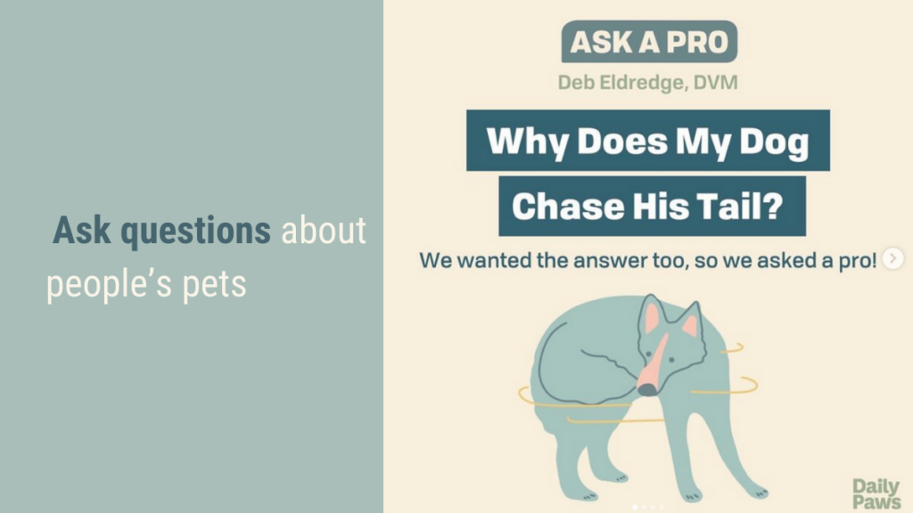 Ask questions about people’s pets to use social media for pets | RecurPost