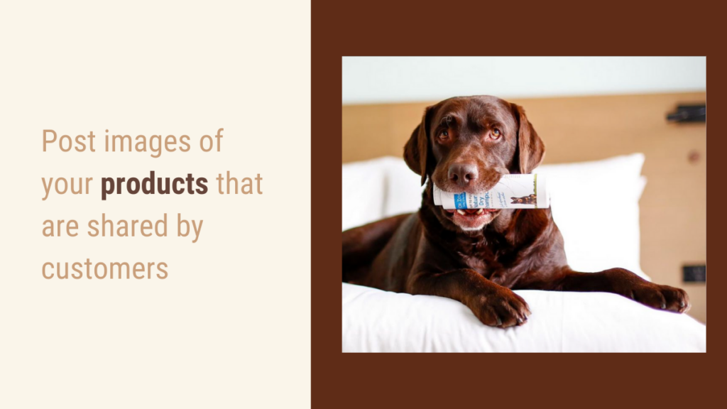 Post images of products which shared by customers - social media for pets | recurpost
