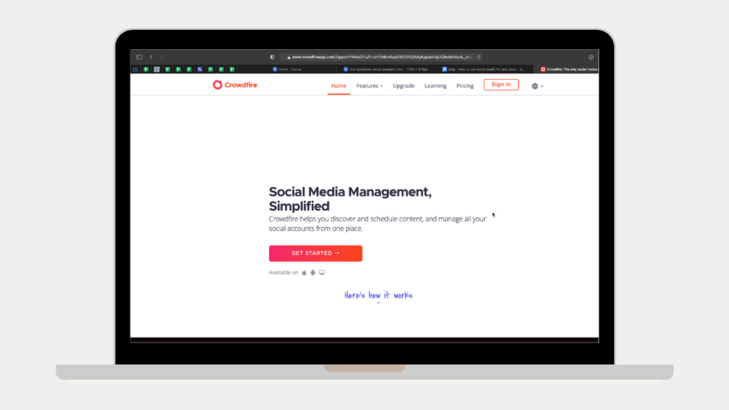 crowdfire : social media for pets | recurpost best social media scheduling tool