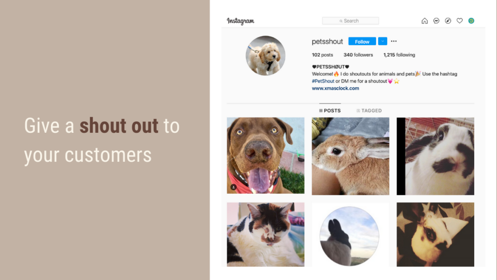 give a shout out to your customers to use social media for pets | recurpost