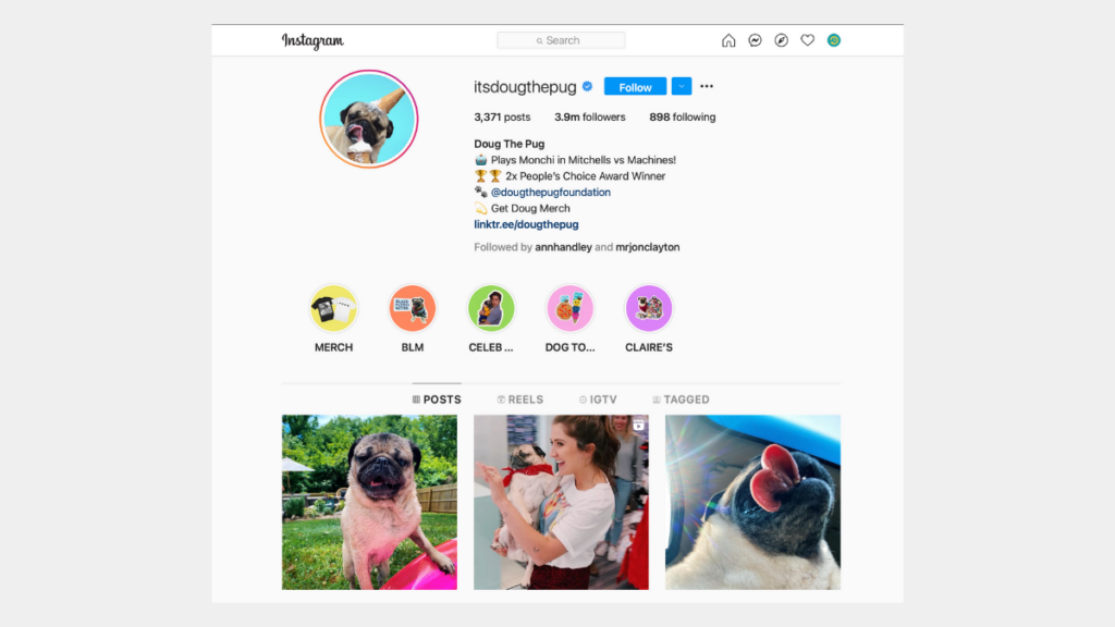 itsdougthepug  - social media for pets | recurpost best social media scheduling tool