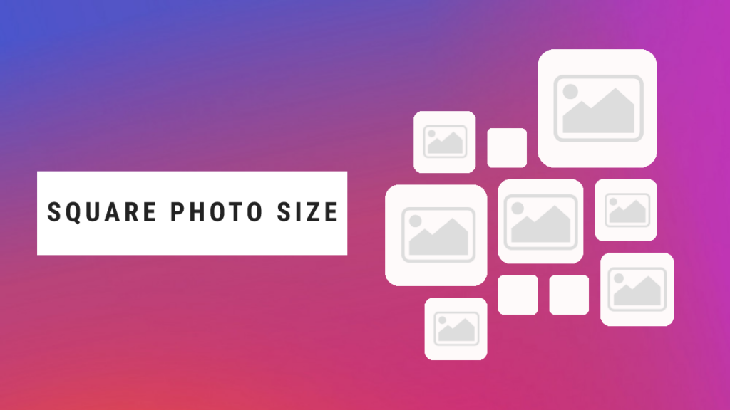 Instagram Square Post Size Guide
