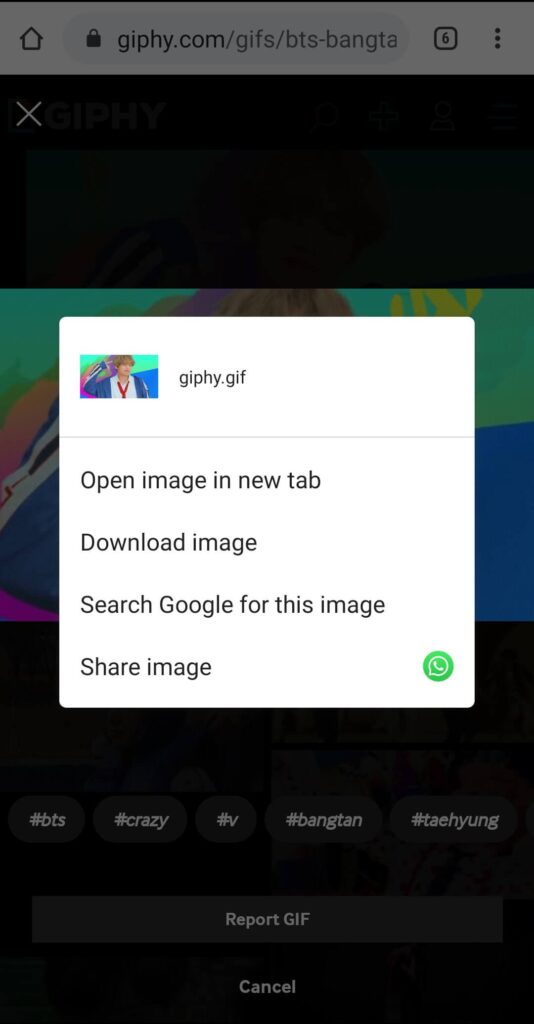 Giphy Downloader