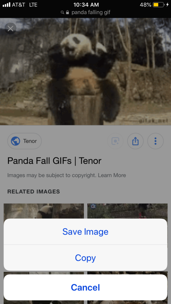 How To Download GIF On Tenor