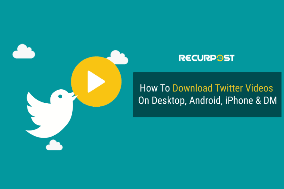 How To Download Twitter video - feature image
