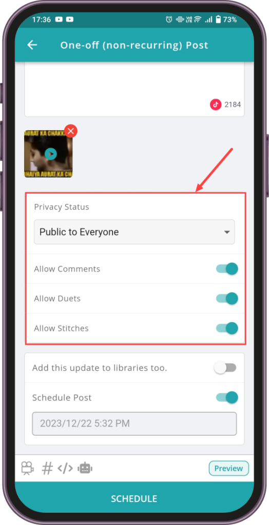 Enable/Disable customization options such as Privacy Status, Comments, Duets and Stitches.