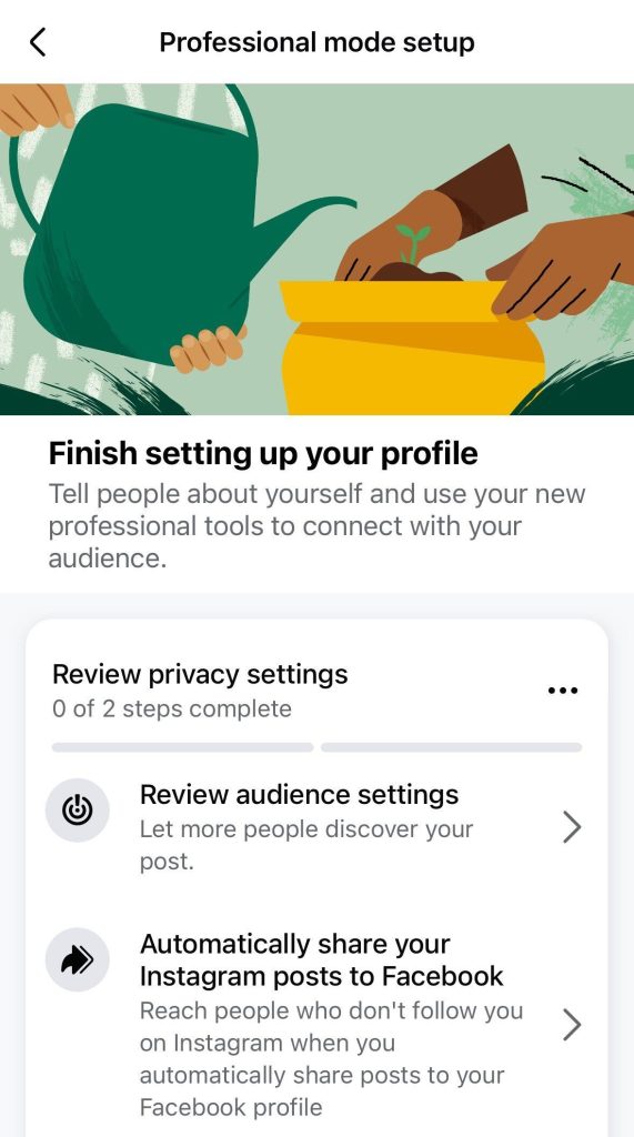 additional setup to turn on professional mode in facebook