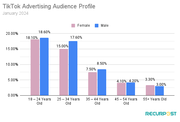 TikTok Advertising Audience Profile 