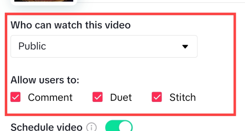 Customize interaction options like comments, duets and stitches while scheduling. 