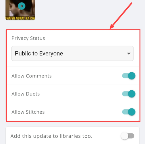 Enable/Disable customization options such as Privacy Status, Comments, Duets and Stitches.