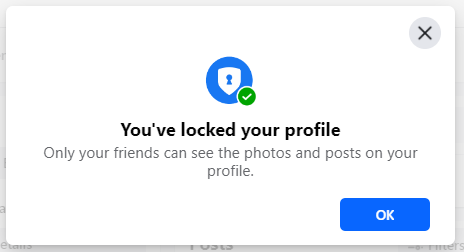 Only friends can see your Locked Facebook profile