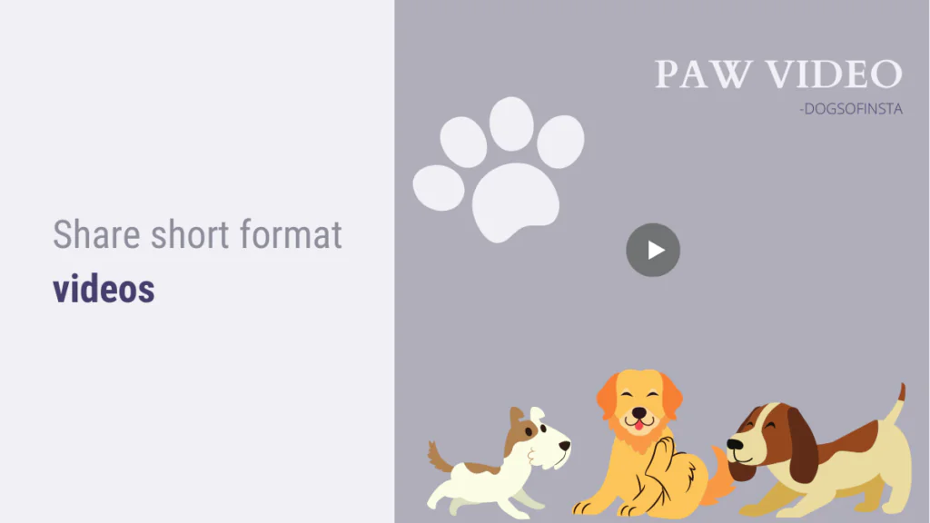 Share-short-format-videos-social-media-for-pets-recurpost-1024x576