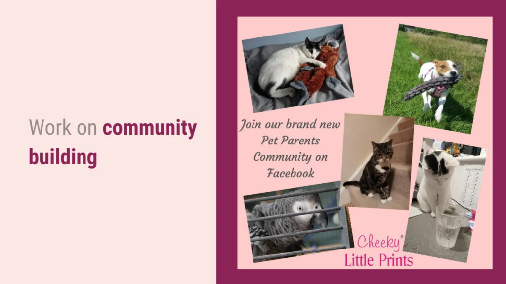 Work-on-community-building-to-use-social-media-for-pets-recurpost-1024x576.png