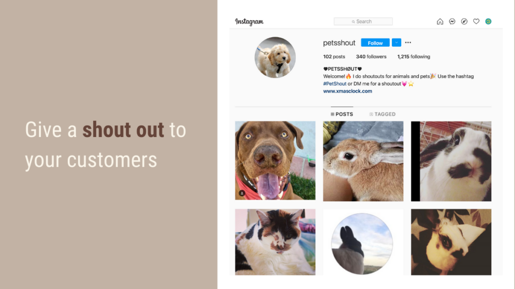 give-a-shout-out-to-your-customers-to-use-social-media-for-pets-recurpost-1024x576