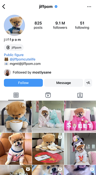 Jiffpom