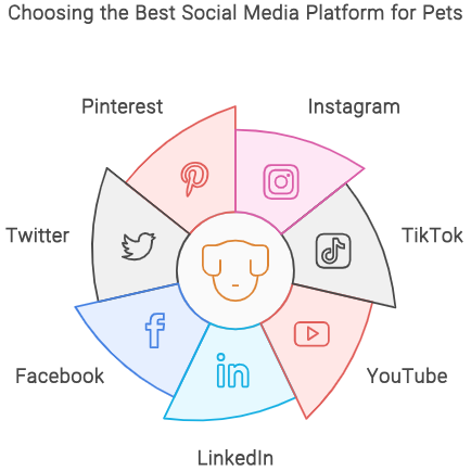 choosing the best social media platform for pet influencers