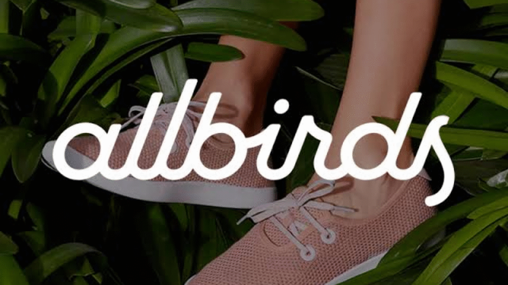 Core Components of Ecommerce Marketing Automation: Email Campaign Automation: Allbirds 