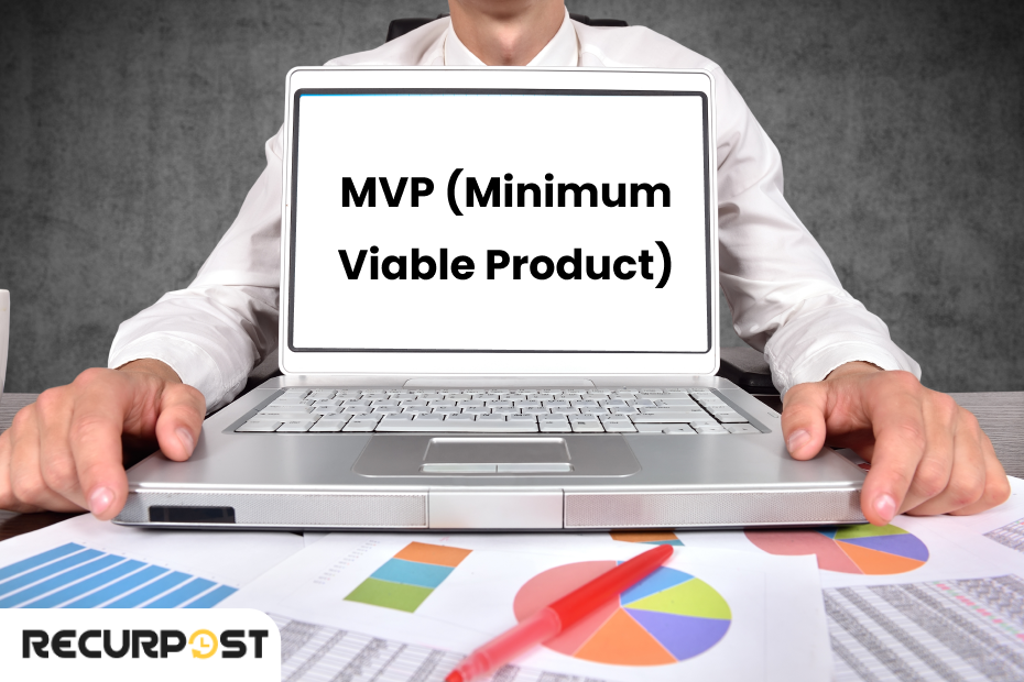 MVP (Minimum Viable Product)