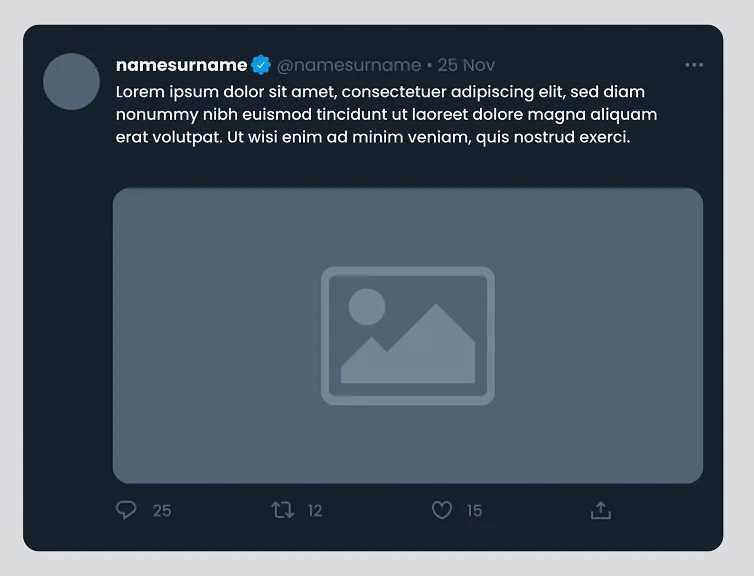 Twitter Card Not Displaying at All