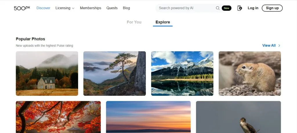 500px