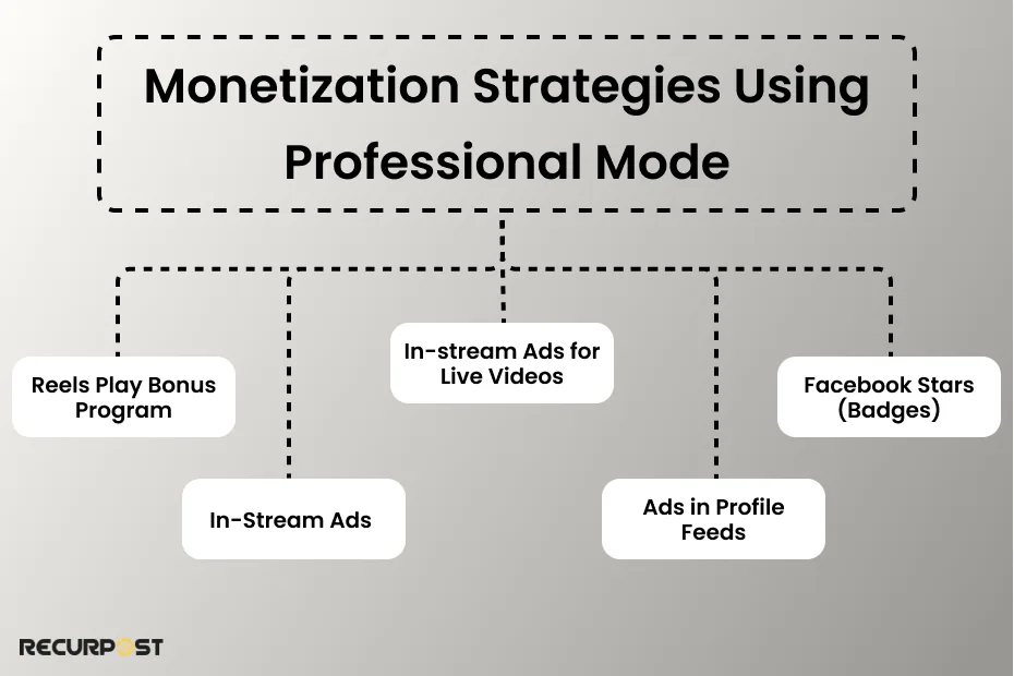 Monetization Strategies Using Professional Mode