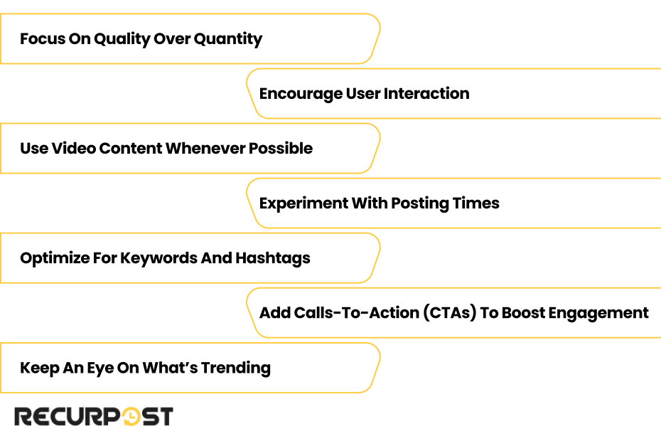 Creating an Algorithm-Friendly Content Strategy