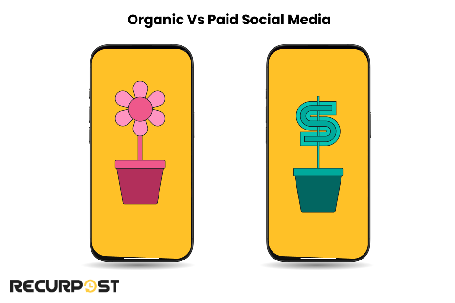 Organic vs Paid social media management