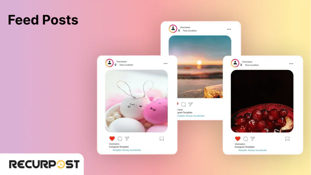 Feed Posts