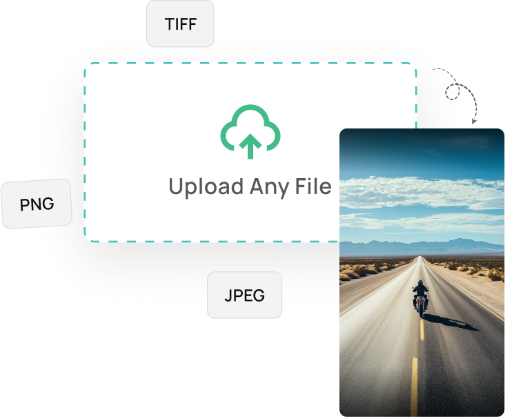 Upload Any File​