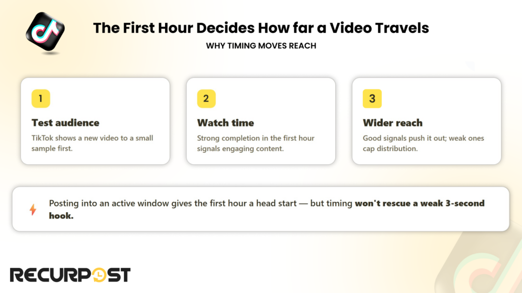 Your day-by-day TikTok posting schedule