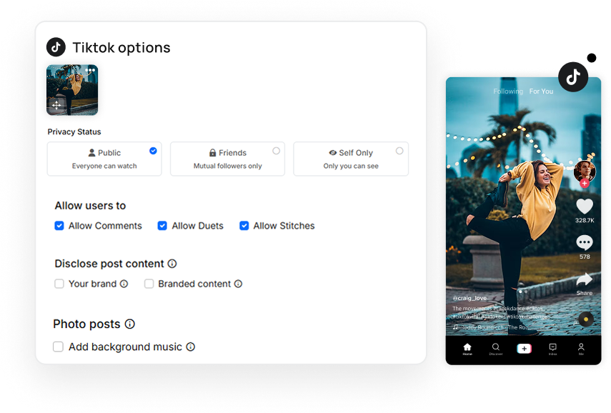 TikTok's own settings, set per post per client