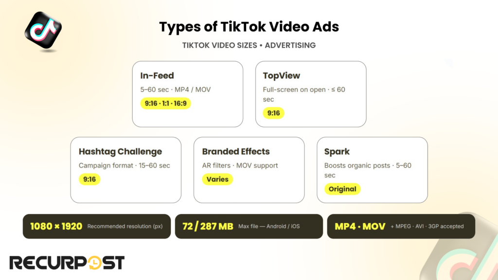 Types of TikTok video ads