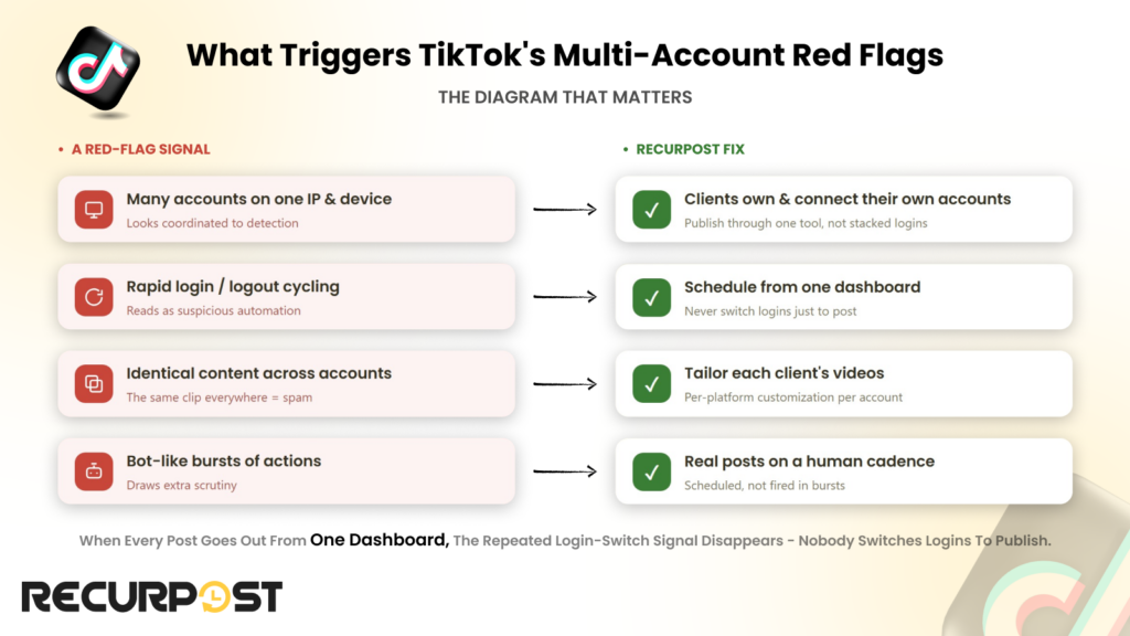 What Triggers TikTok's Multi-Account Red Flags