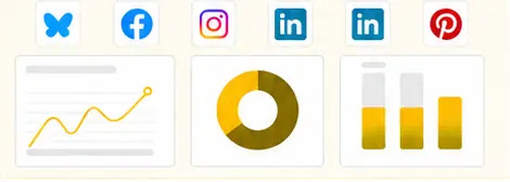 Redesigned Reports